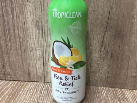 CITRUS SHAMPOO Online Sale